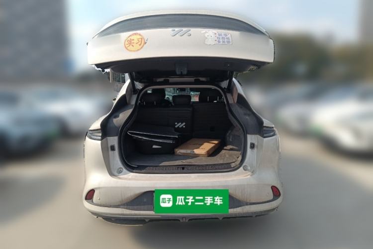 Used IM LS6 2023 Max Long-Range Version