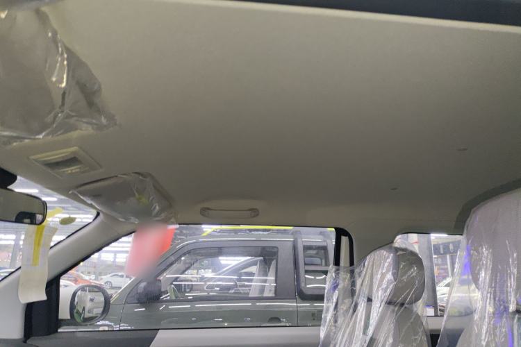 Used Qiyuan Lumin 2025 205 km Xiangqin Version
