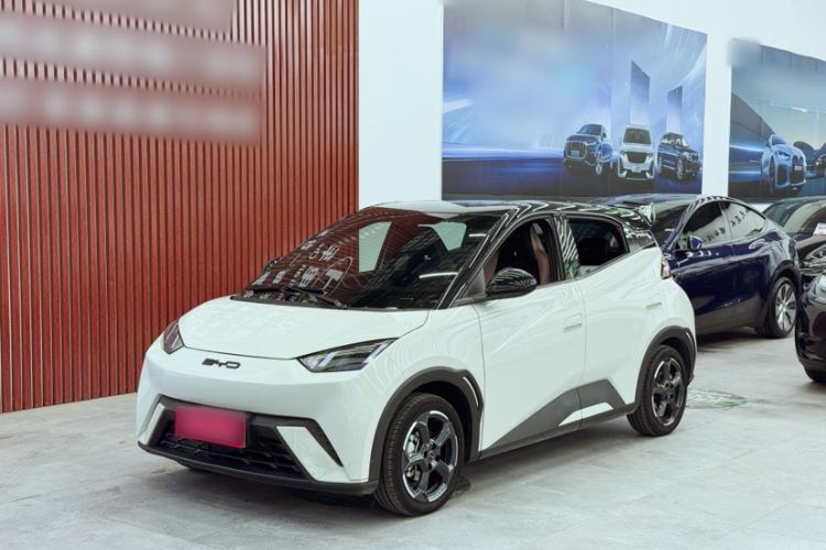 Used BYD Seagull 2023 Flying Edition