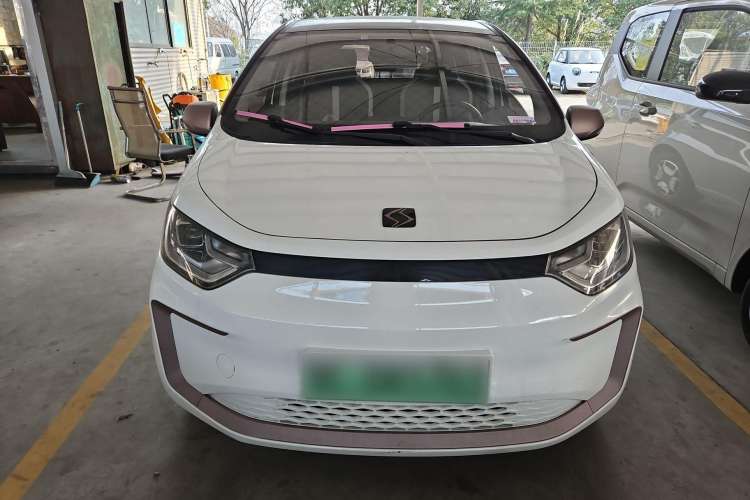 Used SOL E10X 2022 Flower Fairy Design Four-Leaf Clover