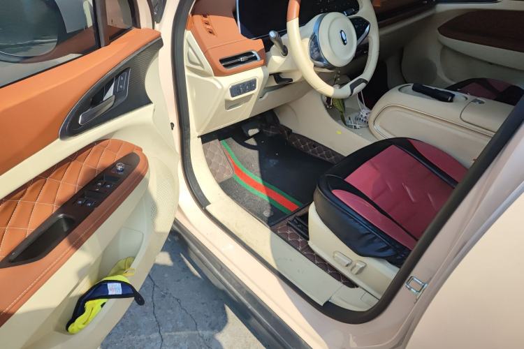 Used ORA Good Cat 2023 401 km Standard Range Luxury Version Lithium Iron Phosphate
