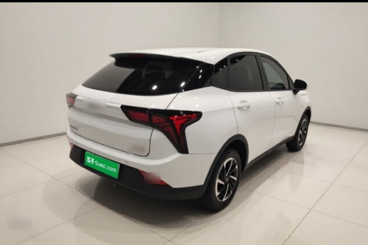 Used NETA V 2021 Long-Range Entertainment Edition Upgrade Model
