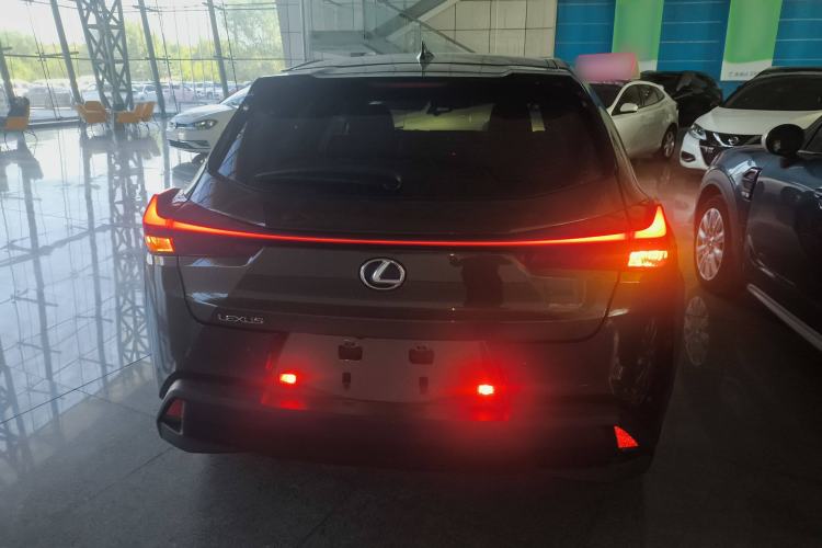 Used Lexus UX New Energy 2020 300e Pure·Joy Edition Rear