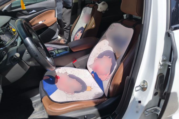 Used Buick Regal 2019 20T Elite Version China VI Standard
