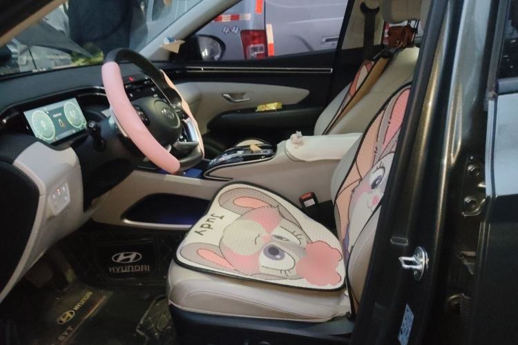 Used Hyundai Tucson 2021 Tucson L 1.5T DCT Luxury Prestige Edition Left Front Seat