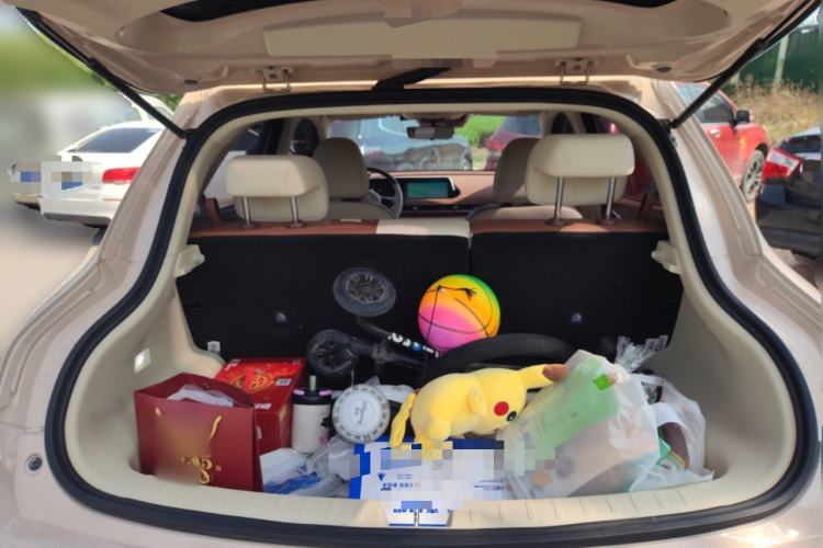 Used ORA Good Cat 2022 400km Standard Range Luxury Version Ternary Lithium