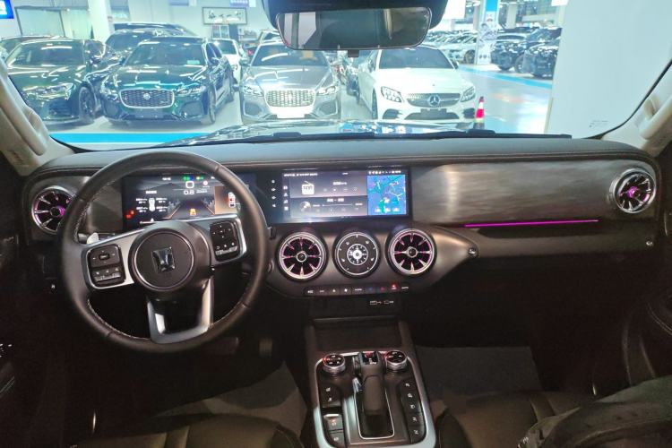 Used Tank 300 2024 2.0T Conqueror
