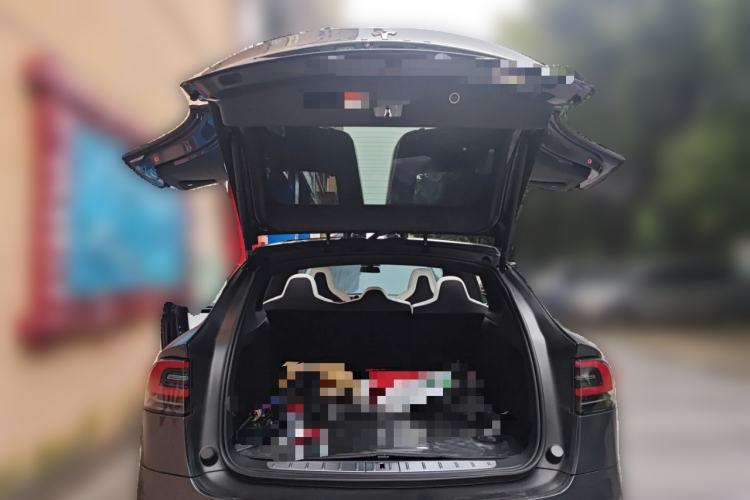 Used Tesla Model X 2017 X 100D Long Range Edition
