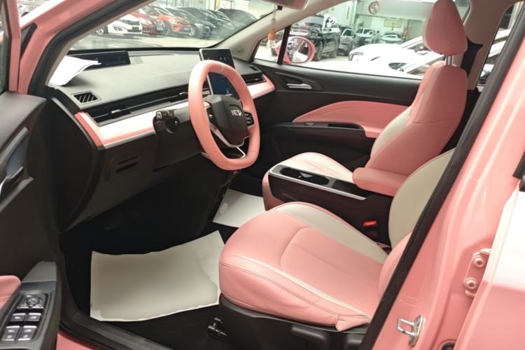 Used NETA V 2021 Witch Edition Left Front Seat