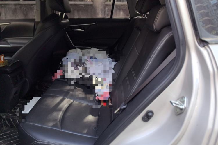 Used Toyota Wildlander 2020 2.0L CVT Two-Wheel Drive Luxury Edition
