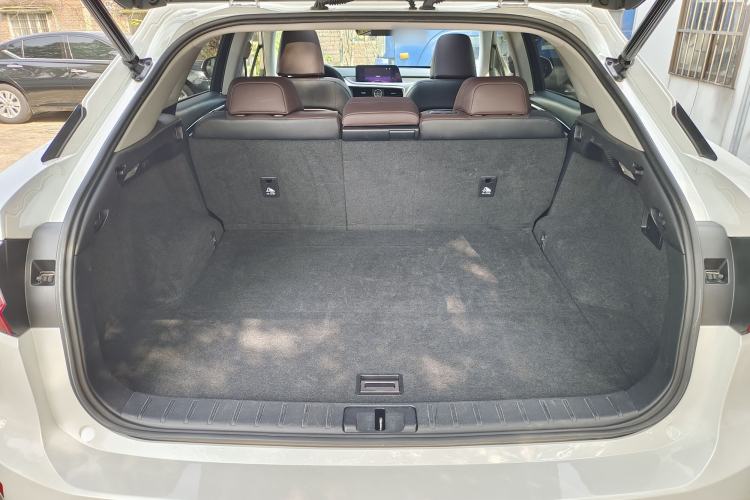 Used Lexus RX 2016 300 4x4 Elegant Edition China VI