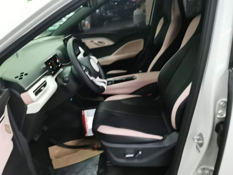 Used BYD Seagull 2025 305 km Free Version — 14
