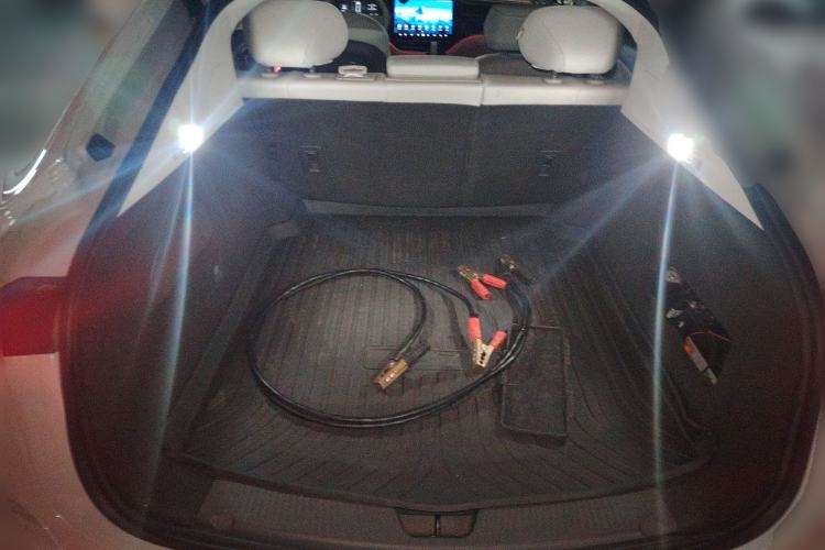 Used Rising R7 2023 Rear-Drive Screen King Edition