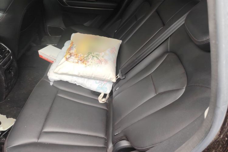 Used Haval H6 Coupe 2018 Blue Label 1.5T Automatic Two-Wheel Drive Luxury Model Left Rear Seat