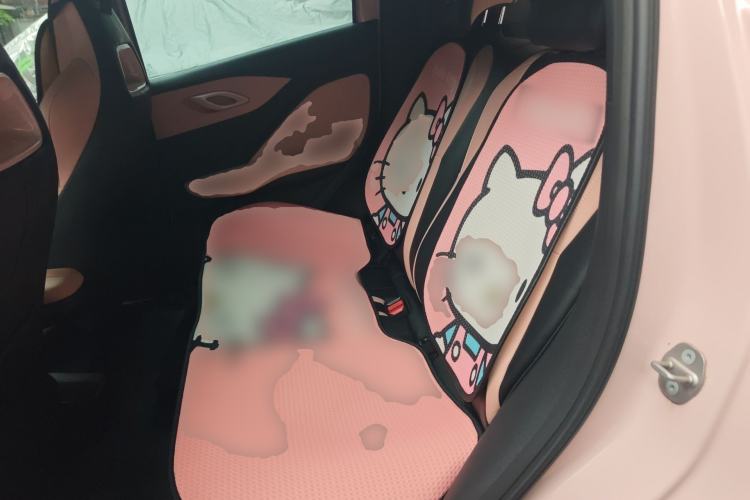 Used BYD Seagull 2023 Free Edition Left Rear Seat