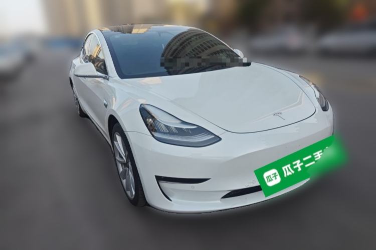 Used Tesla Model 3 (Import) 2019 Long-Range Rear-Wheel-Drive Version
