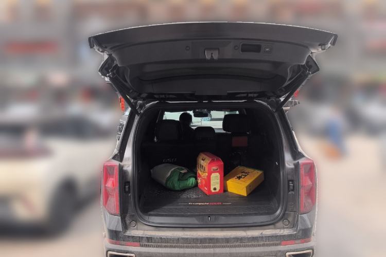 Used GAC Trumpchi GS8 2025 Linghang Series 2.0 TGDI Two-Wheel-Drive Luxury Edition 5 Seats