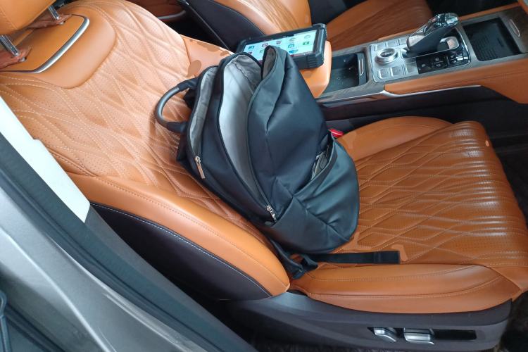 Used Tank 500 New Energy 2024 Hi4-T Right Front Seat