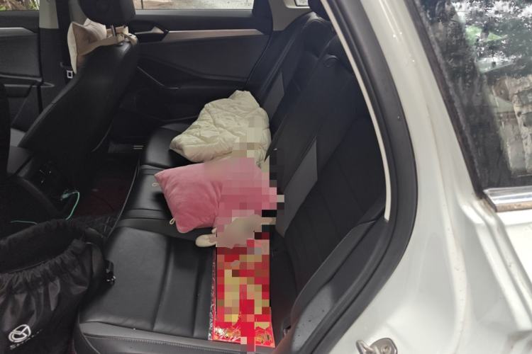 Used Volkswagen Sagitar 2019 280TSI DSG Comfort Version China VI Standard Left Rear Seat