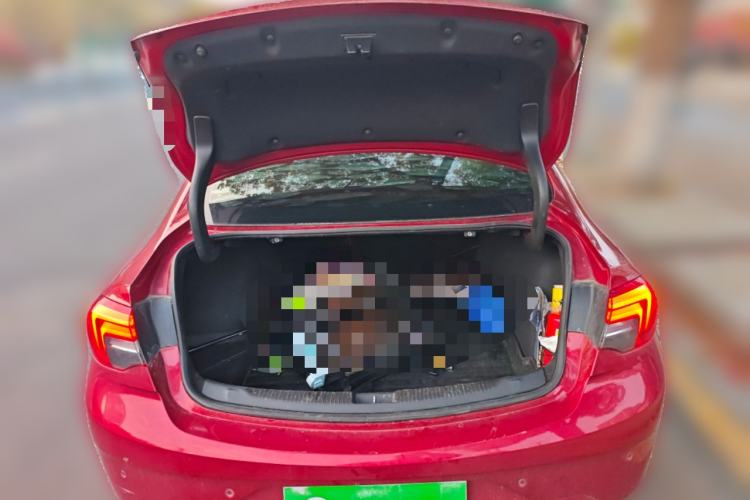 Used Buick Regal 2017 20T Elite Edition