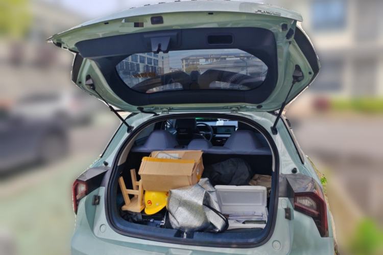 Used Geometry E Firefly 2023 401KM Lightning Tiger 5-Seater
