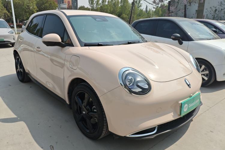 Used ORA Good Cat 2024 401 km Luxury Version Front Right 45 Deg