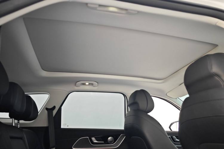 Used Chery Fengyun T9 2024 120 Long-Range Comfort Version 5-Seater with Ternary Lithium Battery
