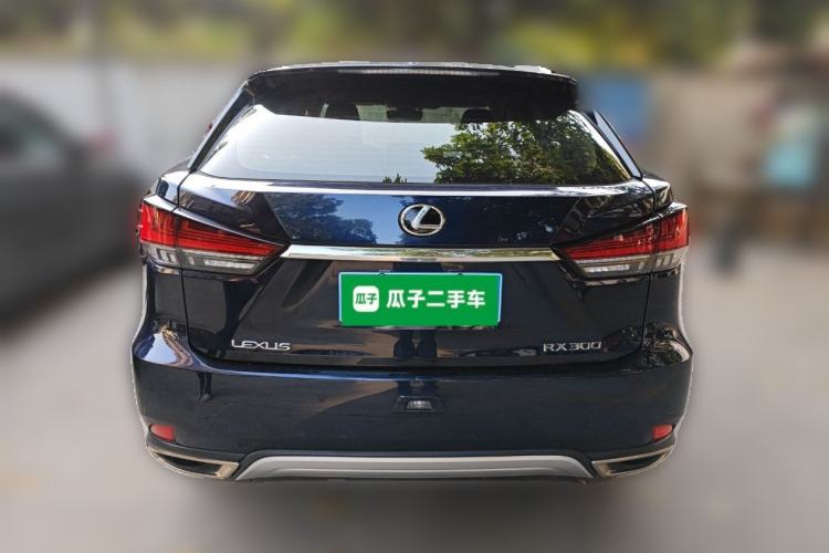 Used Lexus RX 2020 300 Two-Wheel Drive Comfort Edition China VI Standard
