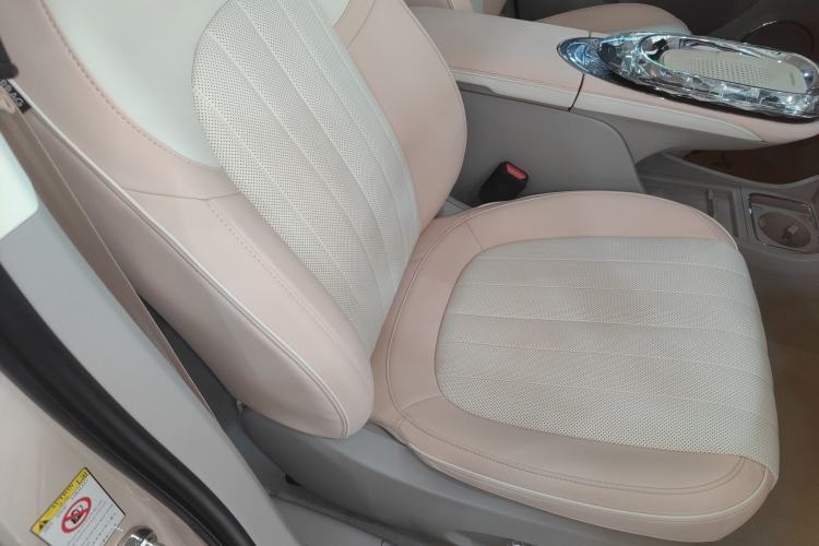 Used ORA Ballet Cat 2023 401 km Luxury Version
