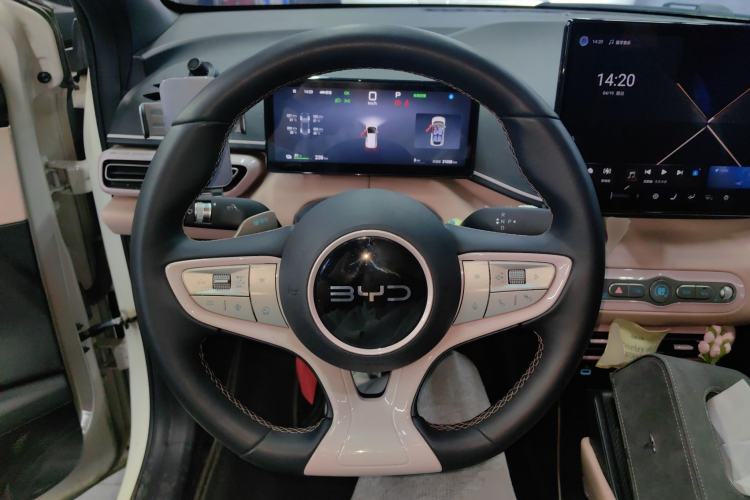 Used BYD Seagull 2025 Smart Drive Version 305 km Freedom Edition
