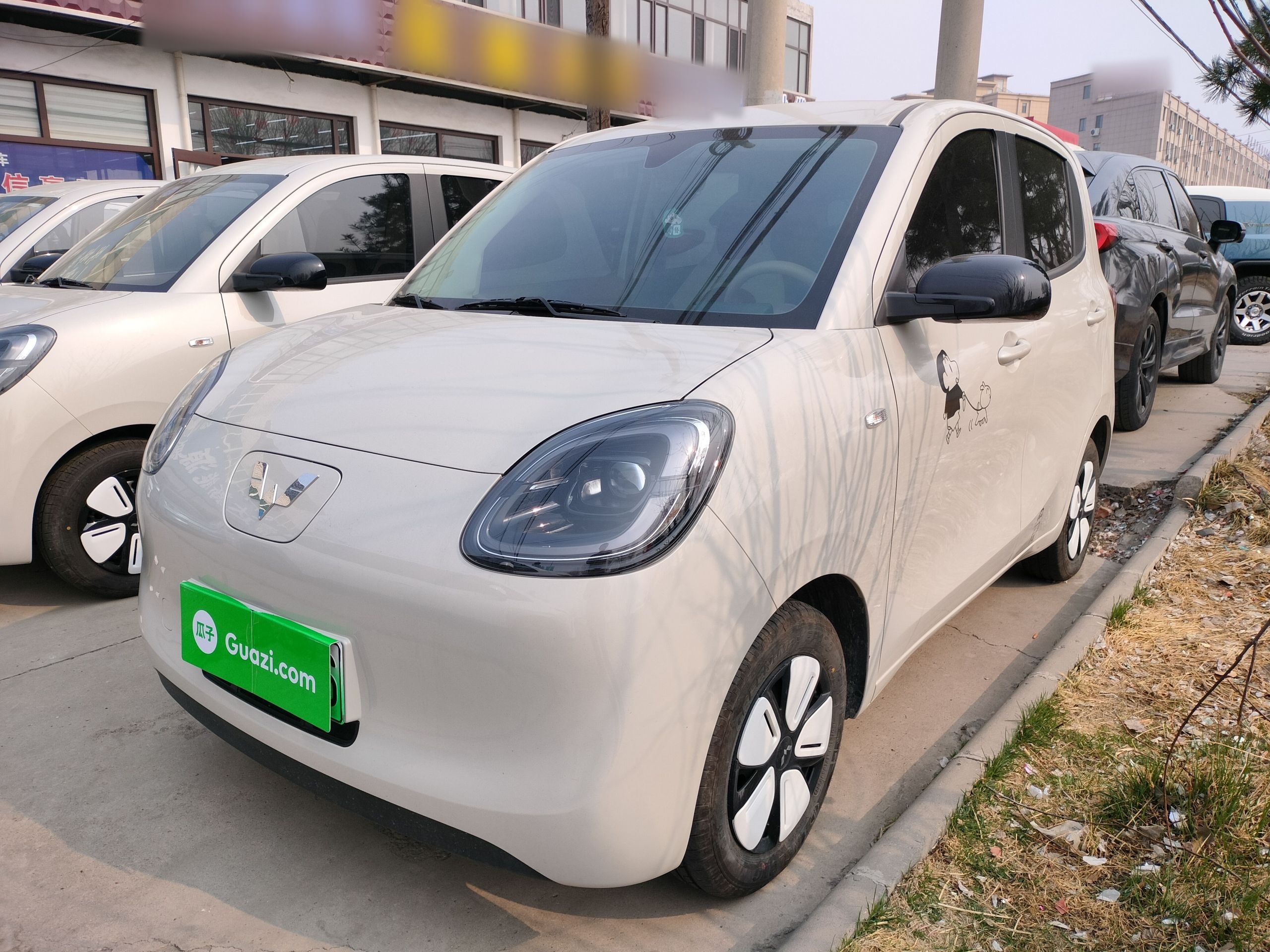 Parte inferior delantera