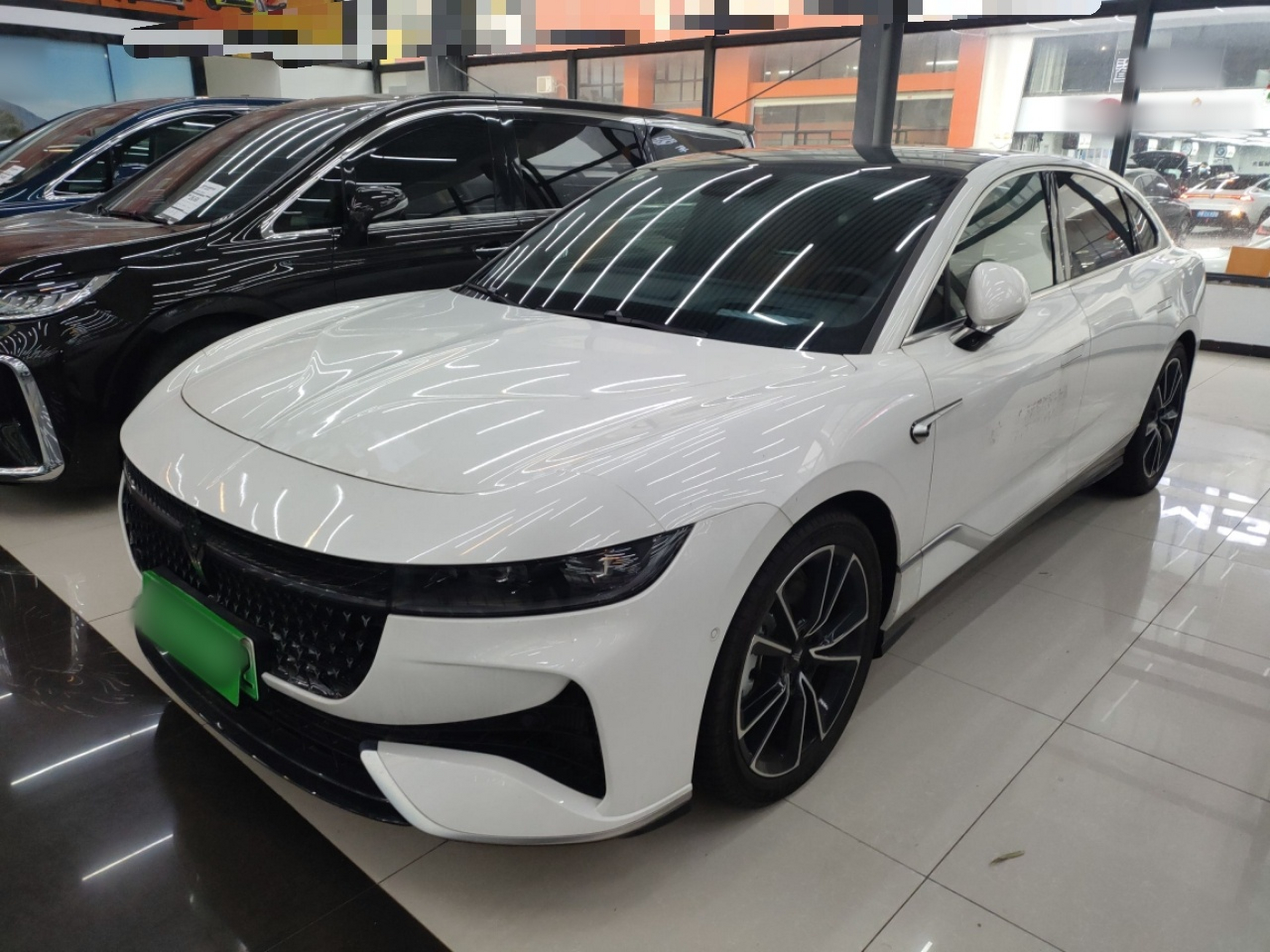 Parte inferior delantera