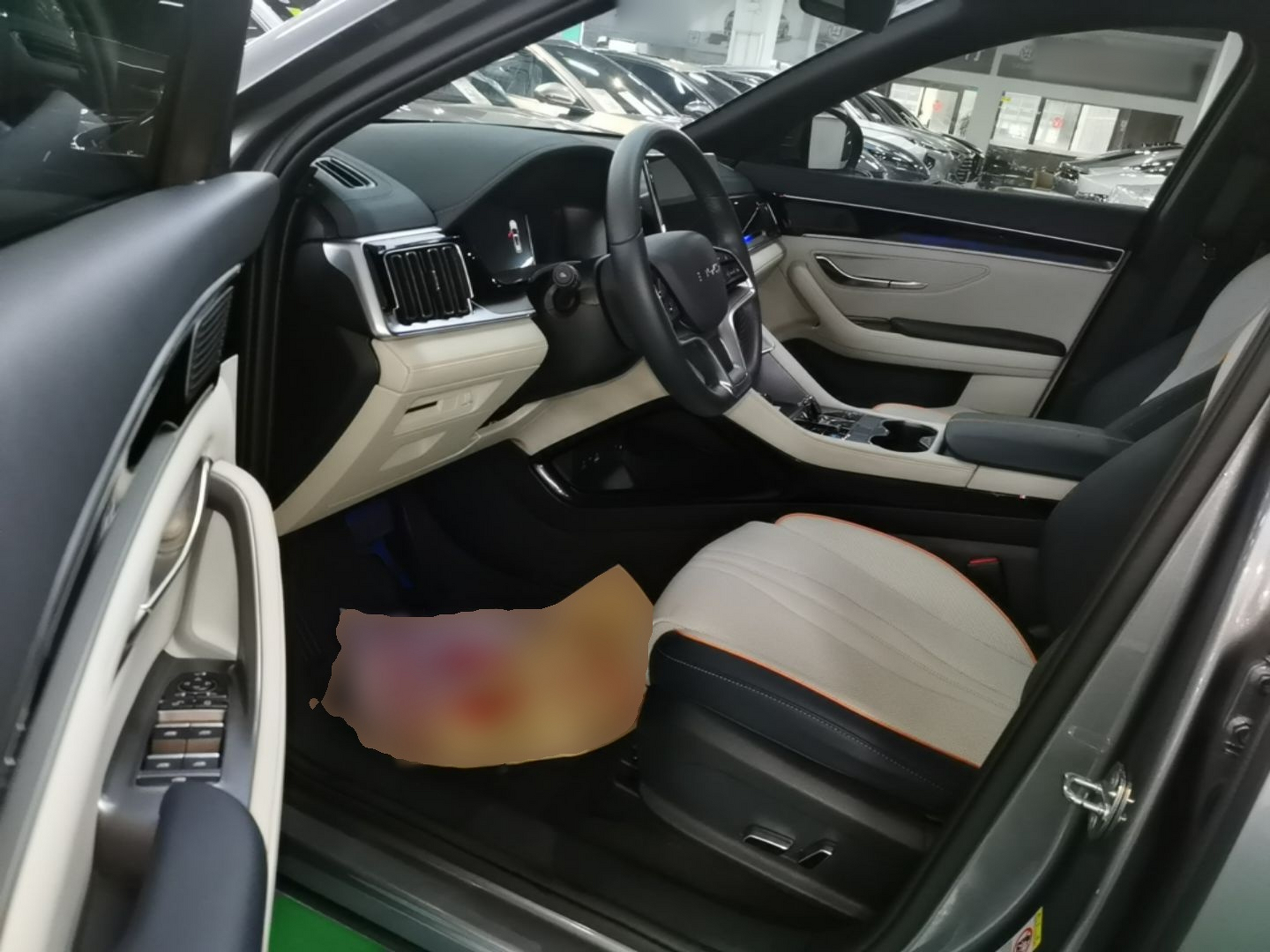 Interior delantero
