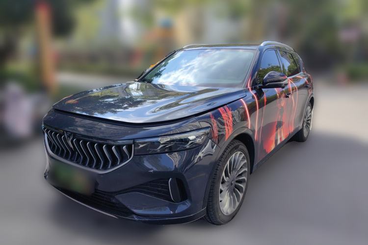 Used VOYAH FREE 2021 Four-Wheel Drive Standard Range-Extended Exclusive Luxury Package