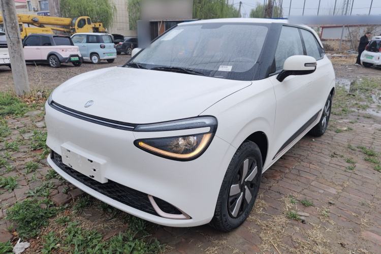 Used Dongfeng NAMMI 01 2025 330KM Youth Edition