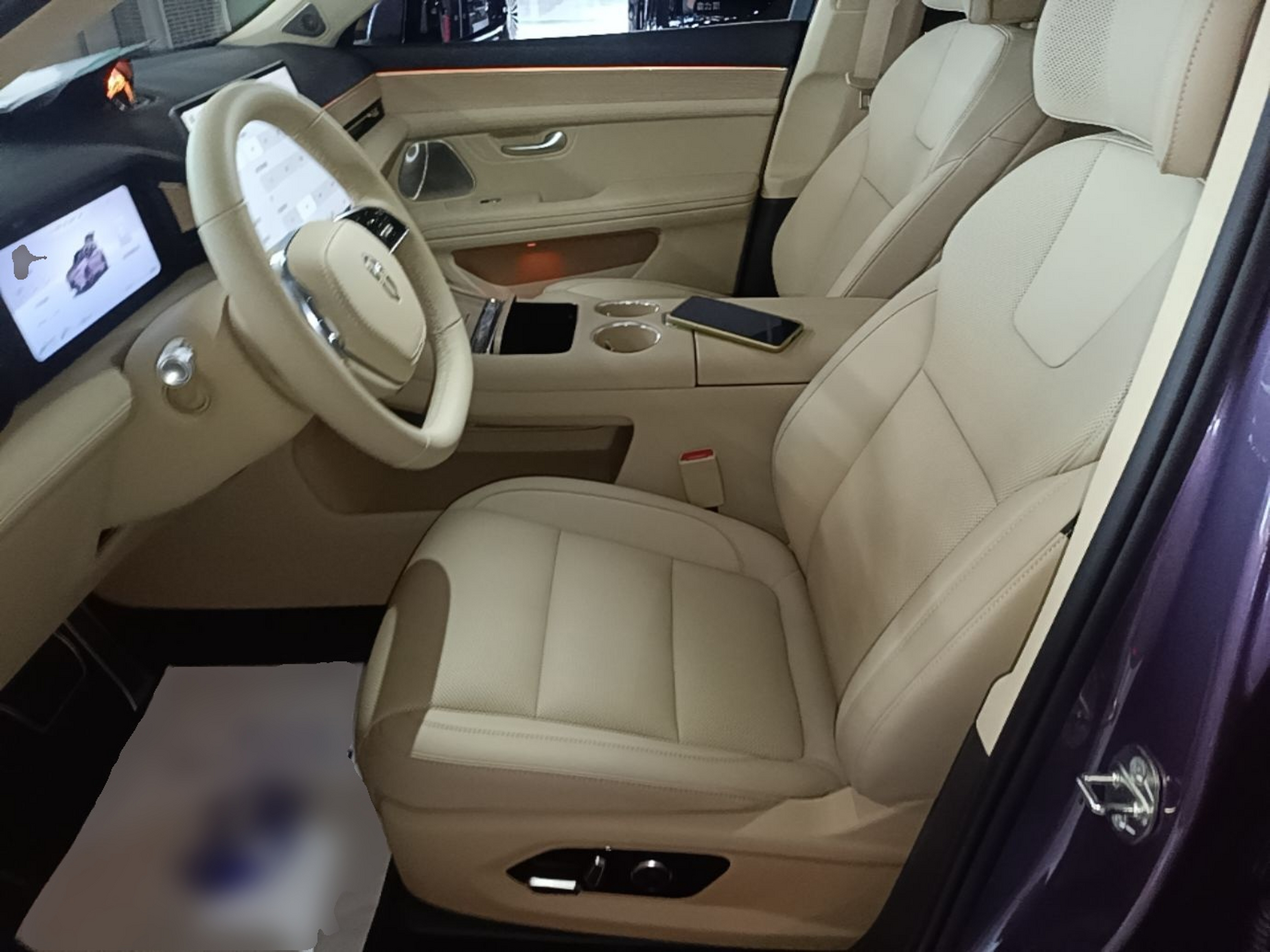 Interior delantero