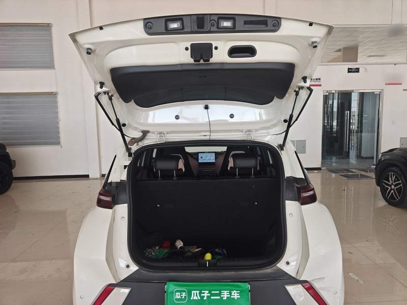 Used BYD Seagull 2023 Free Edition — 20