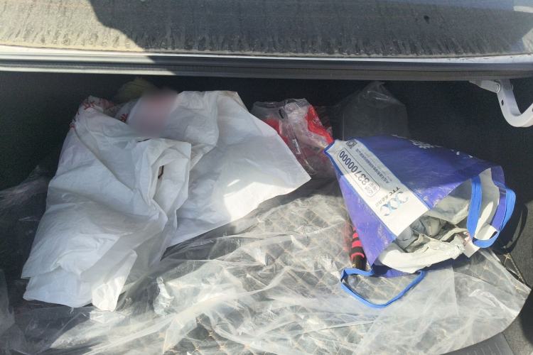 Used Toyota Corolla 2021 Dual-Motor 1.8L E-CVT Elite Edition