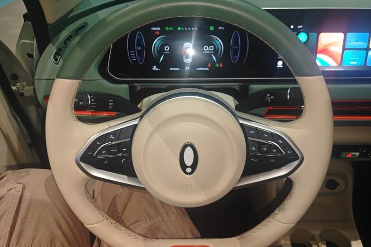 Used ORA Good Cat 2024 501 km Luxury Version Steering Wheel