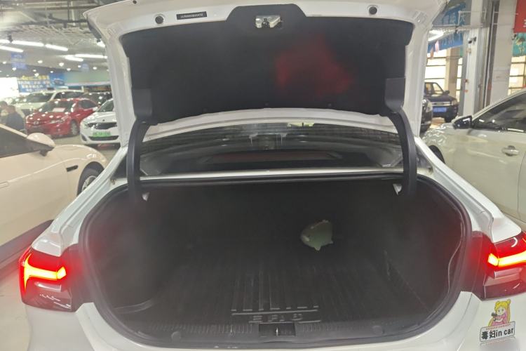 Used Rising ER6 2021 New Dynamic Edition 620km Smart Enjoyment Version Trunk