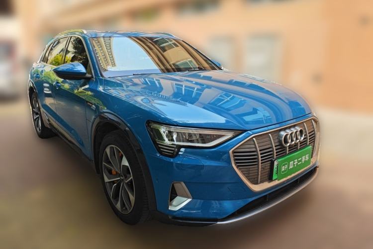 Used Audi e-tron 2019 55 quattro Global Limited Edition Edition 1
