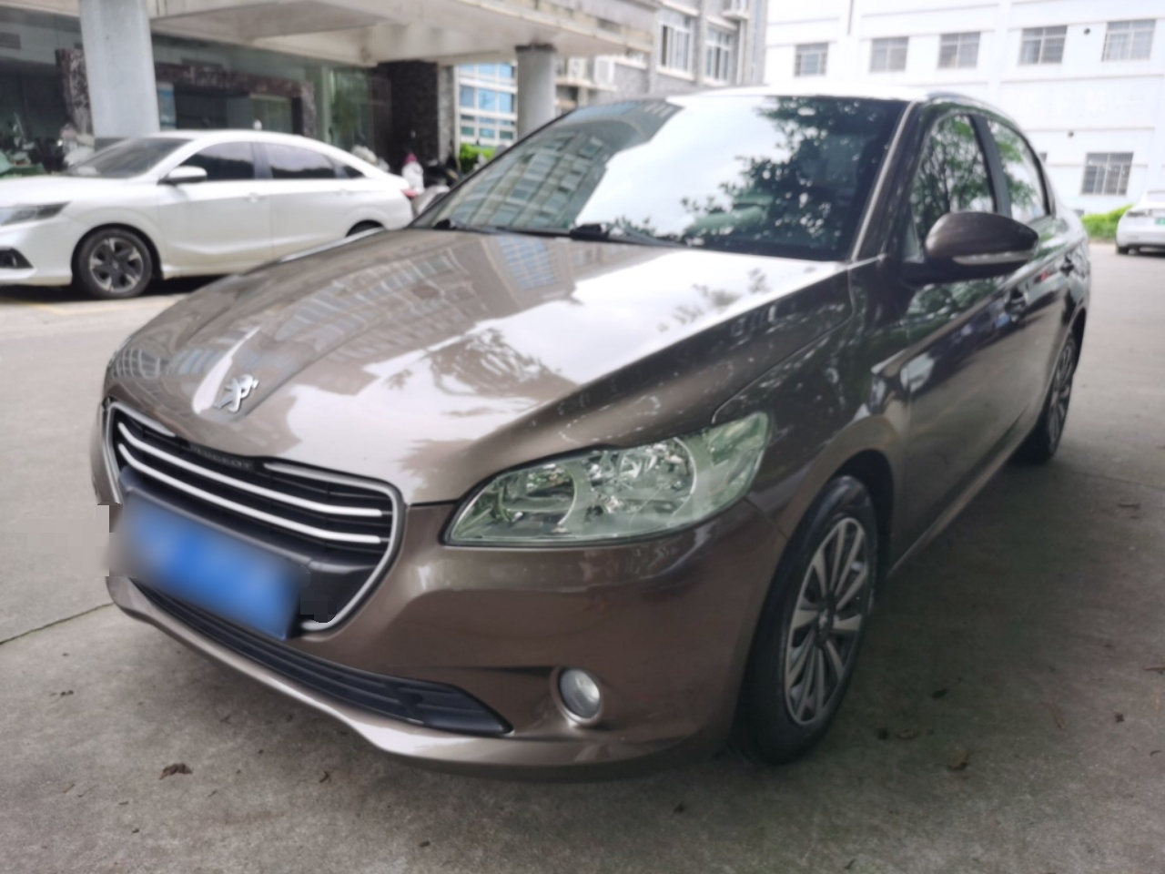 Parte inferior delantera