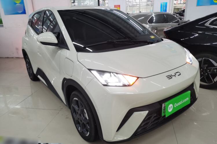 Used BYD Seagull 2025 305 km Free Version