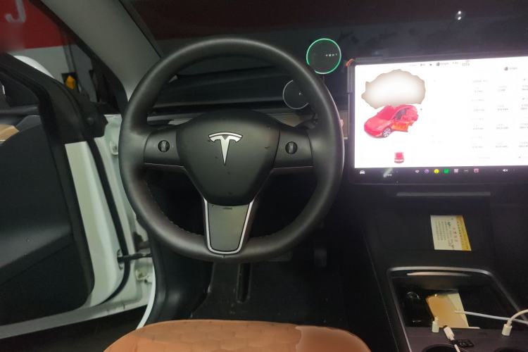 Used Tesla Model Y 2021 Standard Range Rear-Wheel Drive Version
