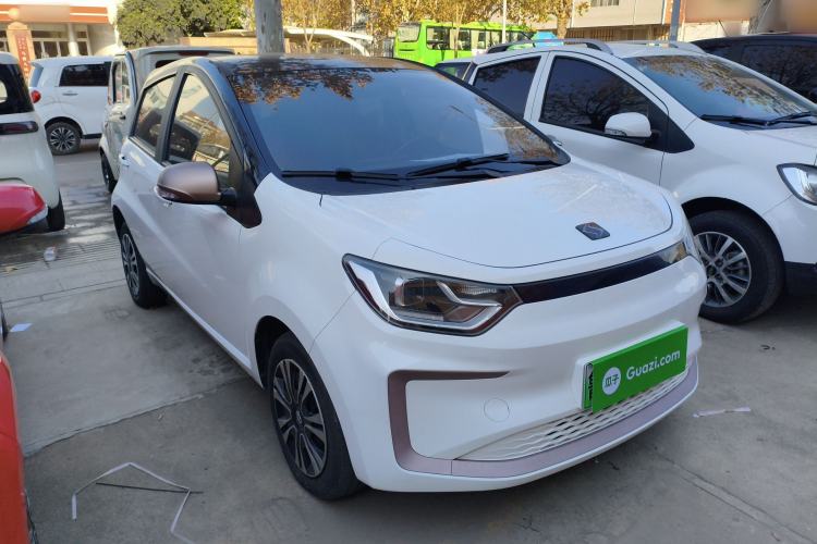 Used SOL E10X 2022 Flower Fairy Design Four-Leaf Clover