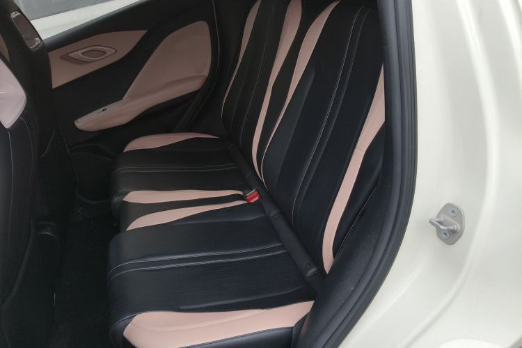 Used BYD Seagull 2023 Free Edition Left Rear Seat