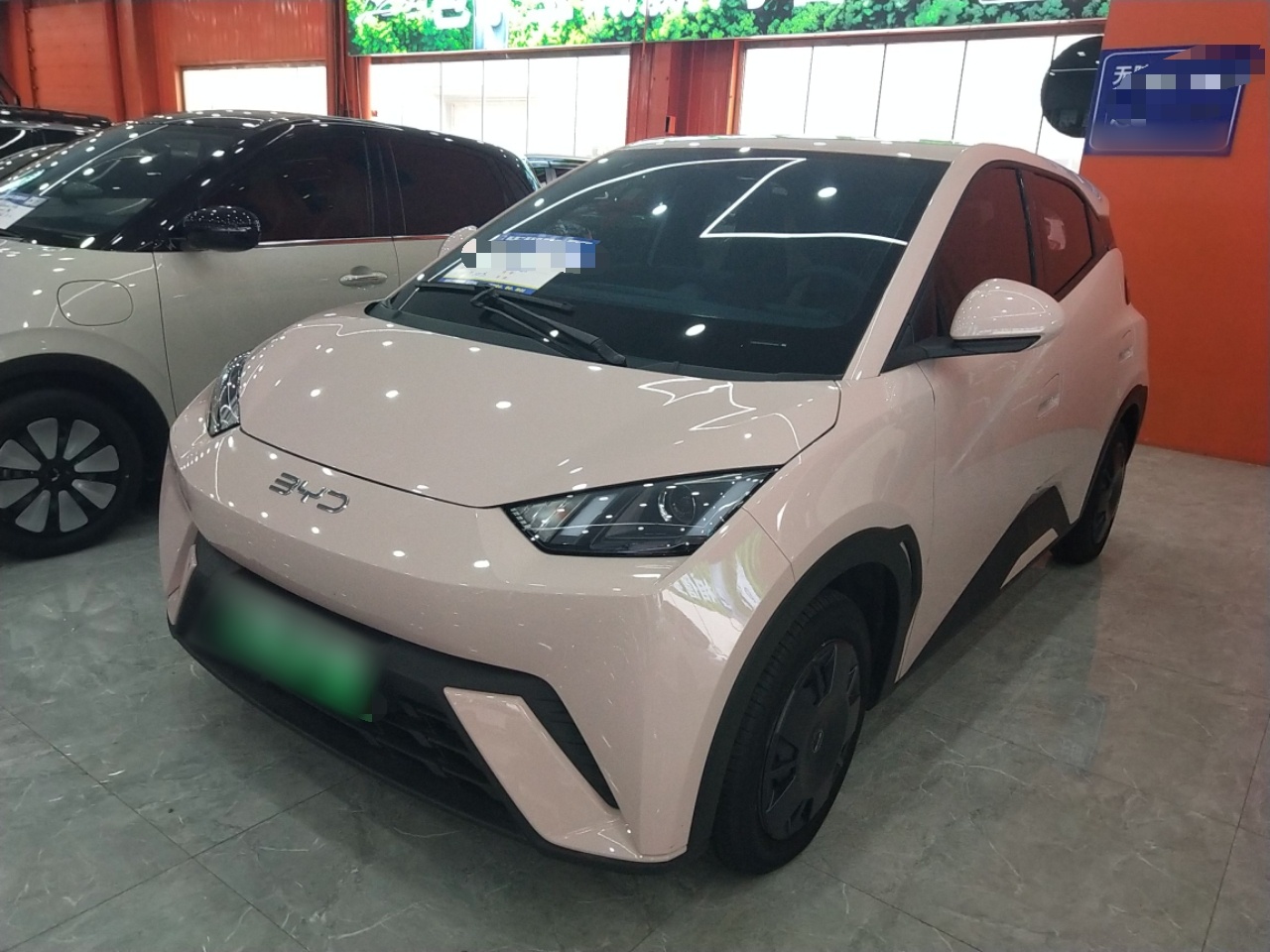 Parte inferior delantera