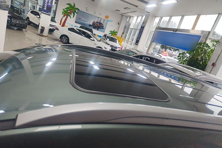 Used Landian E5 2024 Honor Edition 100KM Comfort Model 7 Seats Roof