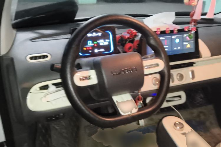 Used Qiyuan Lumin 2023 205km Xiangqin Version