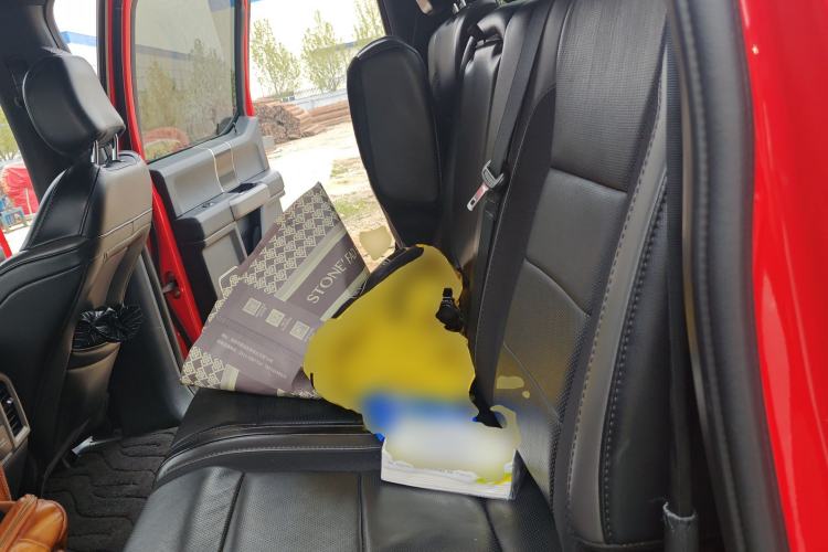 Used Ford F-150 Raptor 2019 3.5T Raptor Performance Enhanced Edition Left Rear Seat